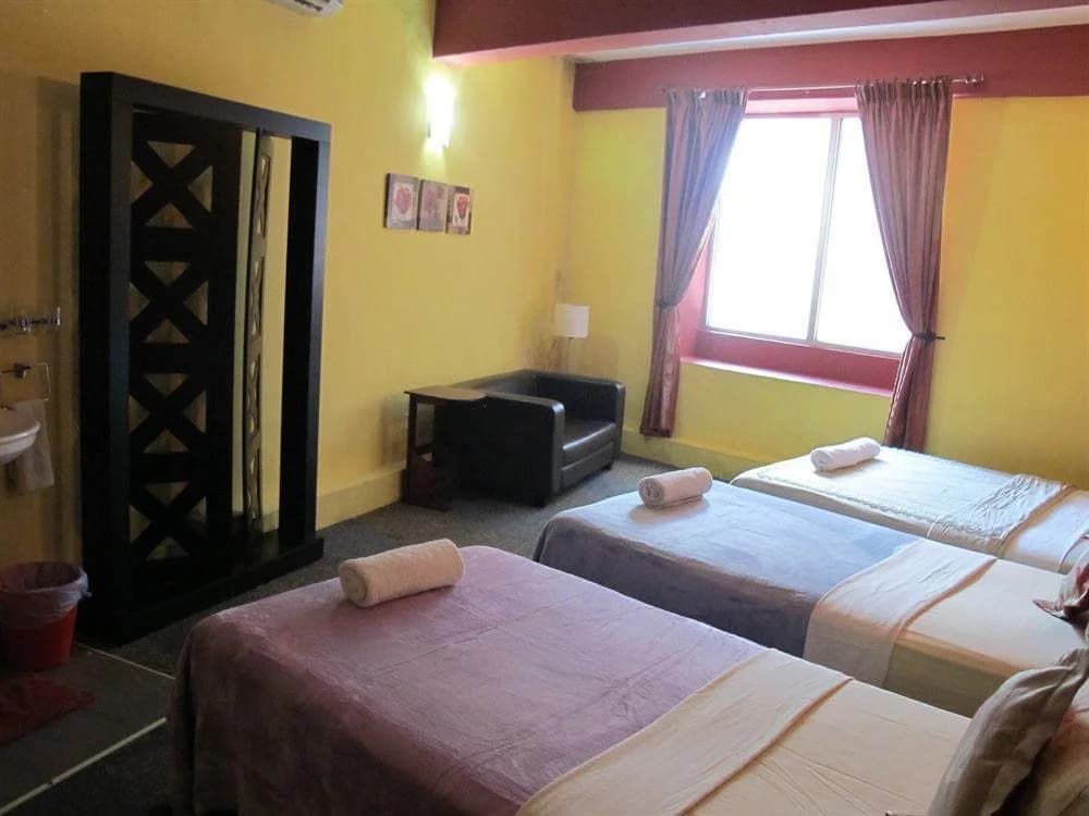Paradiso Guesthouse - photo 3