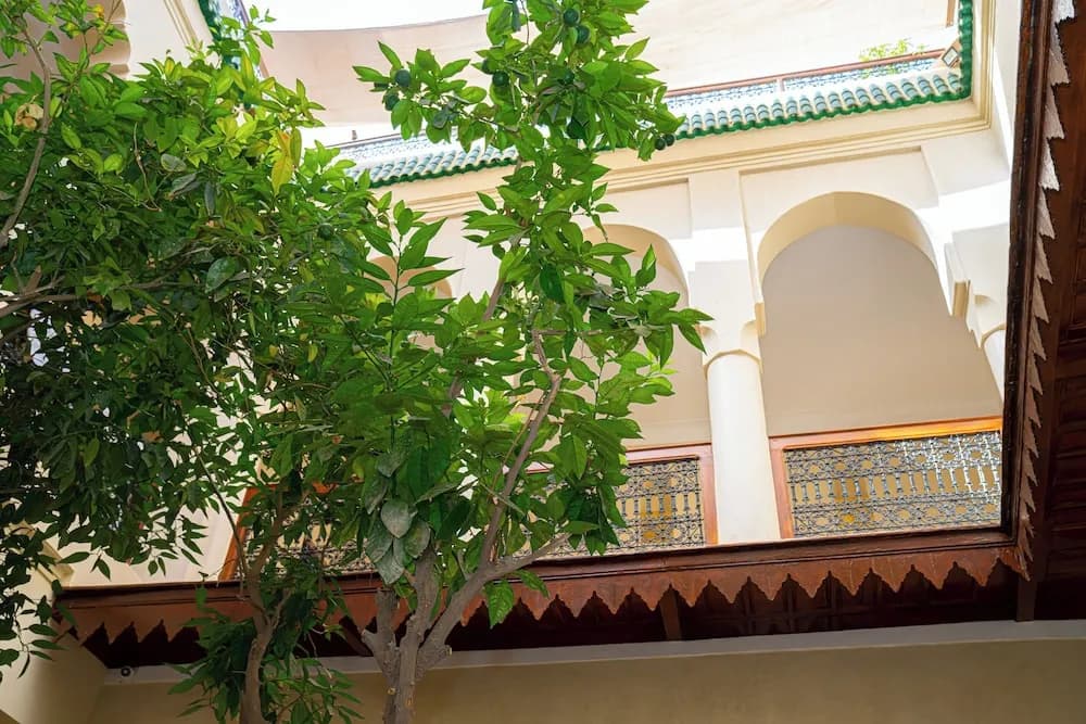 Riad Dar Zaouia - photo 24