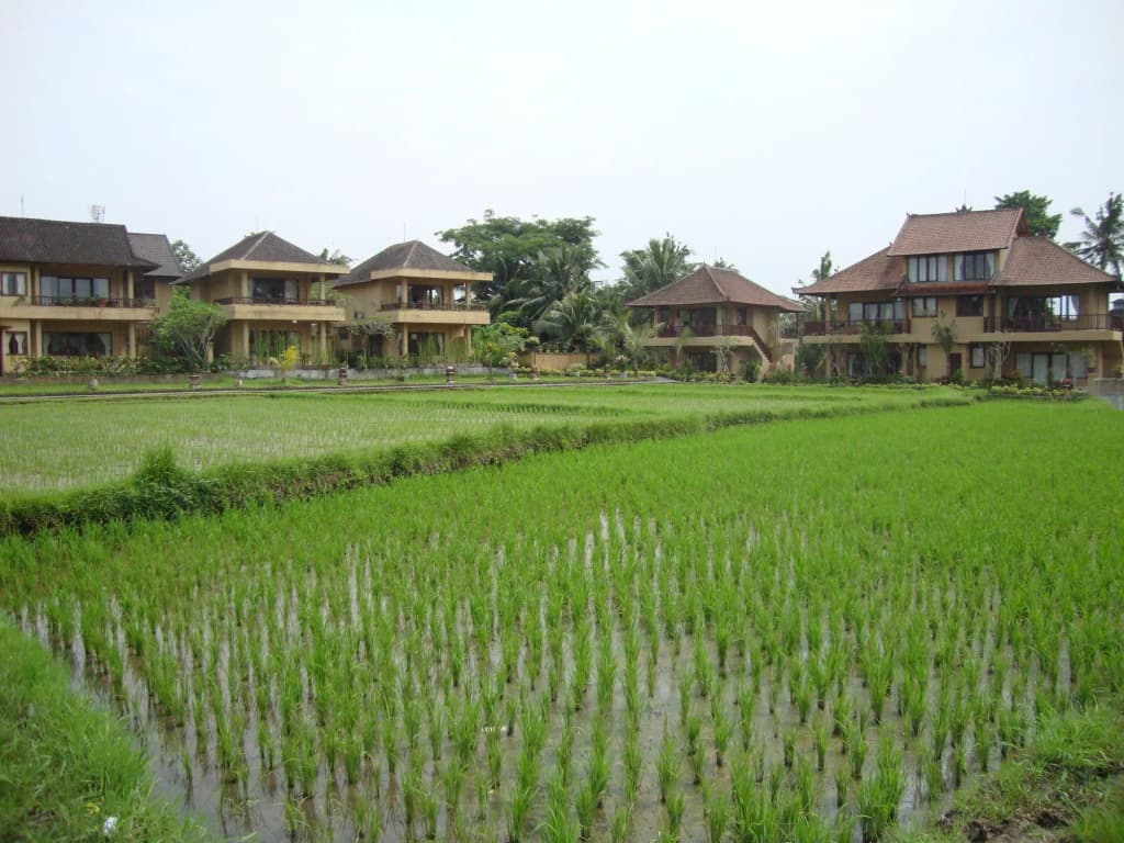Sri Aksata Ubud Resort - photo 14