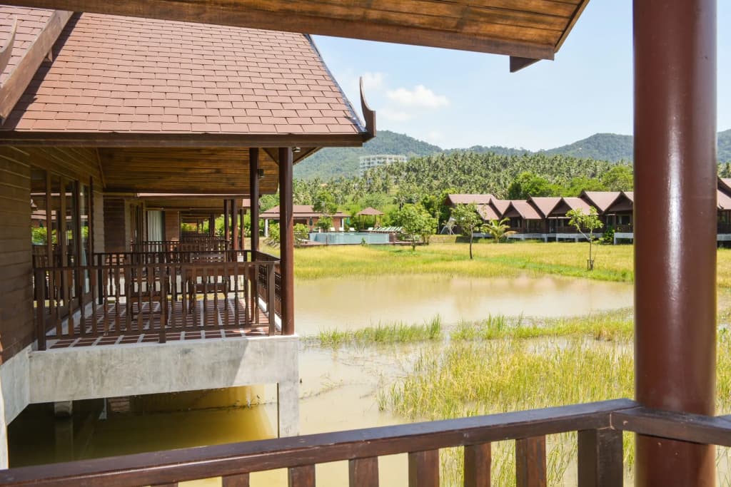 Farmer's Boutique Resort - photo 23