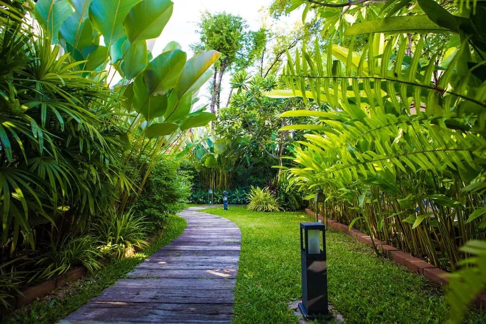 Sannot Riverside Garden Resort ChiangMai - photo 1