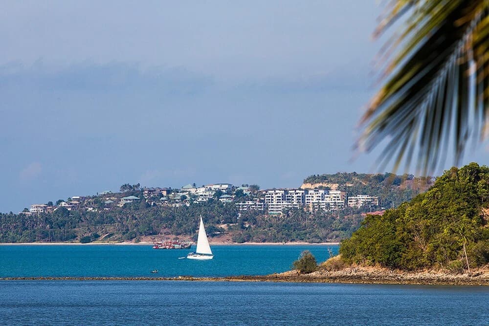 B1 Aqua Organic Suites - photo 13
