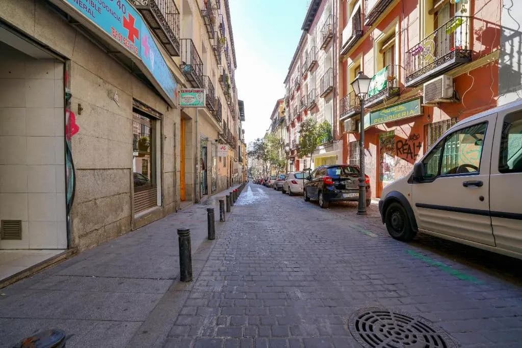 For You Rentals Chueca Apartment BRC42 - photo 13