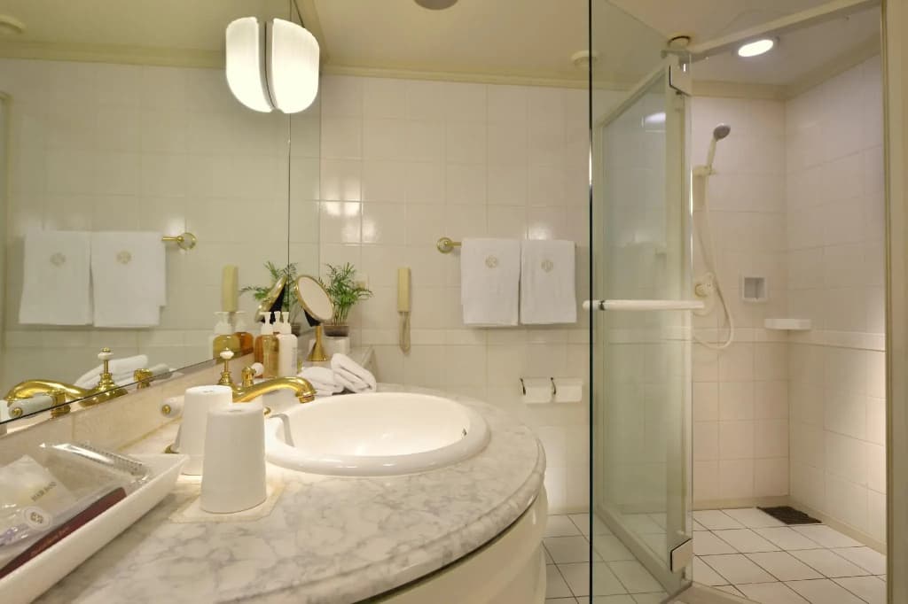 Dai-ichi Hotel Tokyo - photo 10