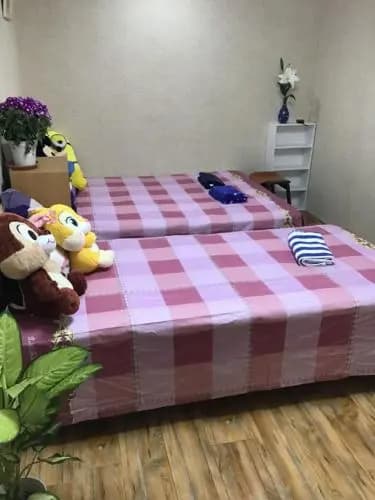 Yoshi Yoshi Homestay - photo 29
