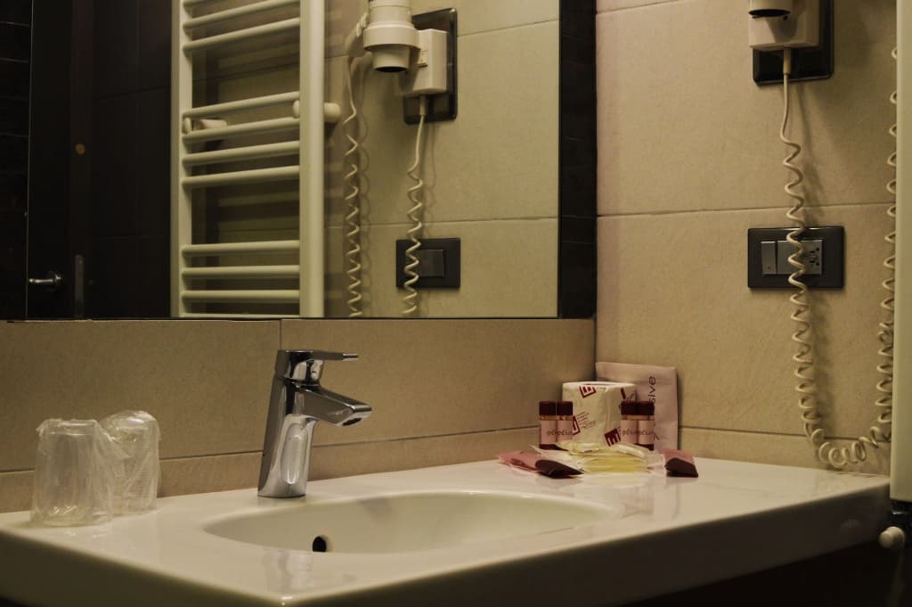 Hotel Artis - photo 8
