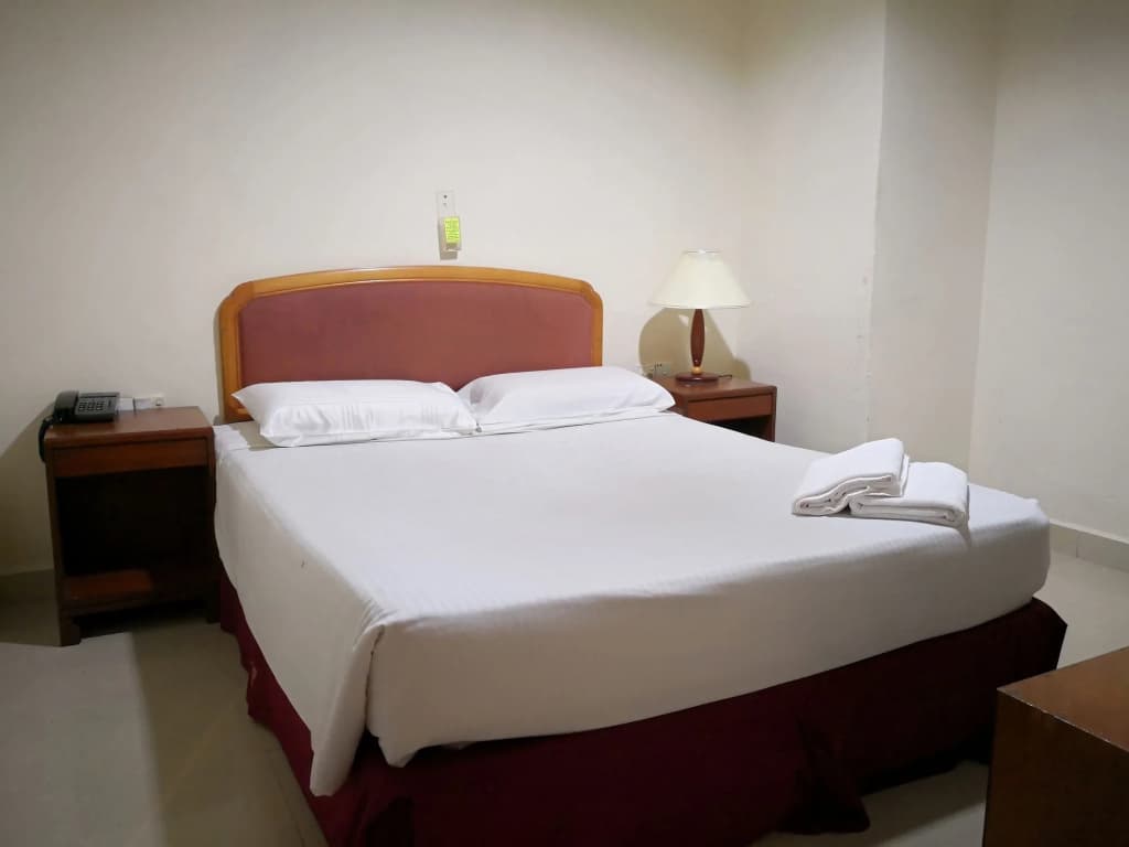 Carlton Star Hotel - photo 5