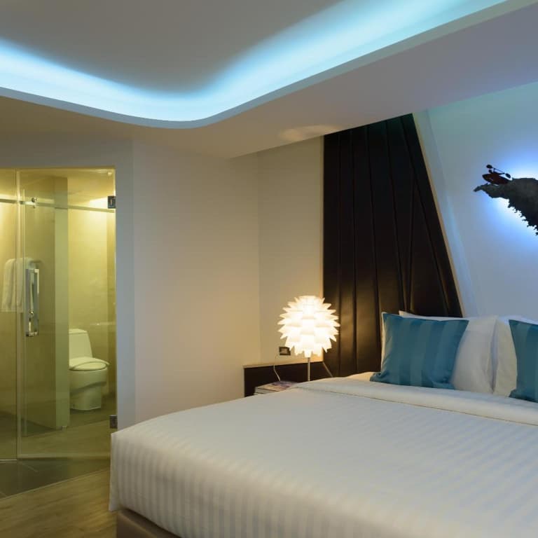 The Xtreme Suites - photo 50
