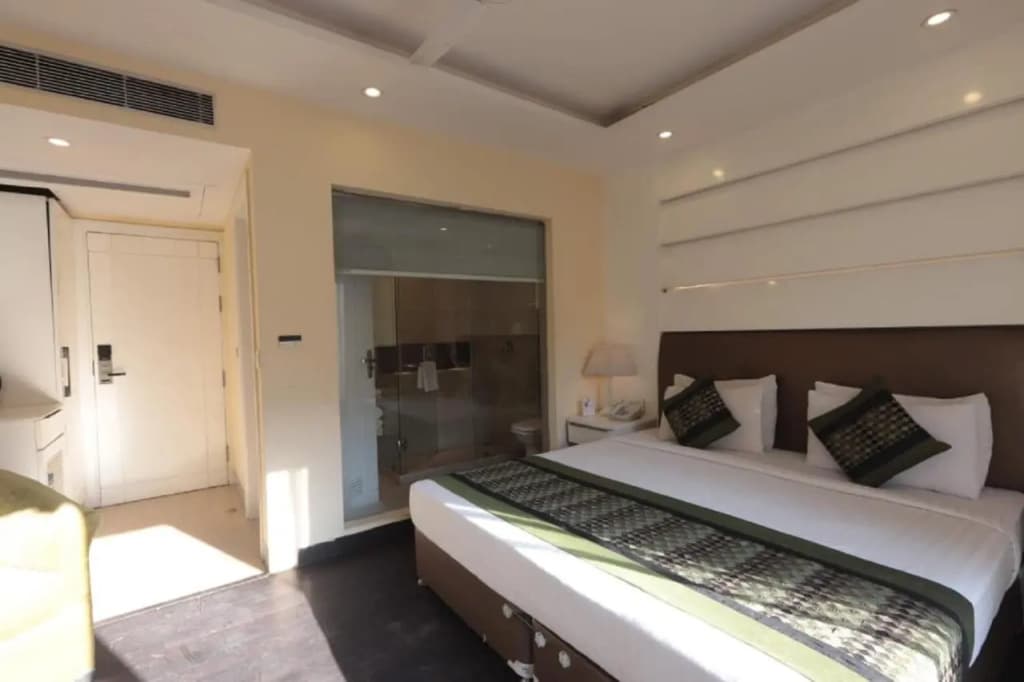 Hotel Picasso Naraina - photo 7