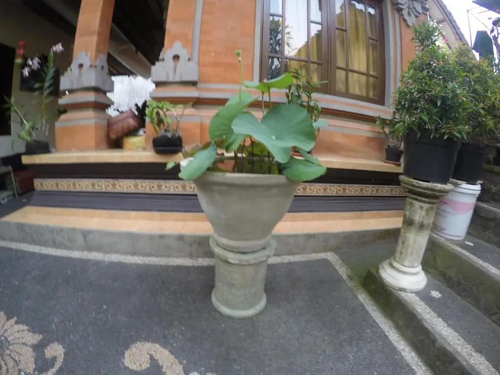 Pancer House - main photo