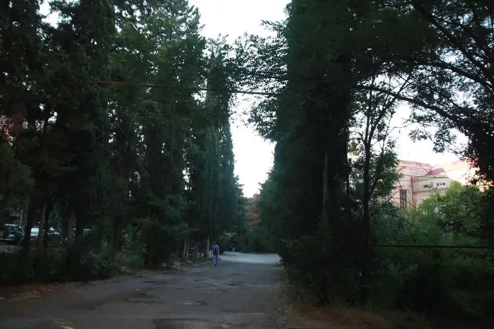 March - photo 20