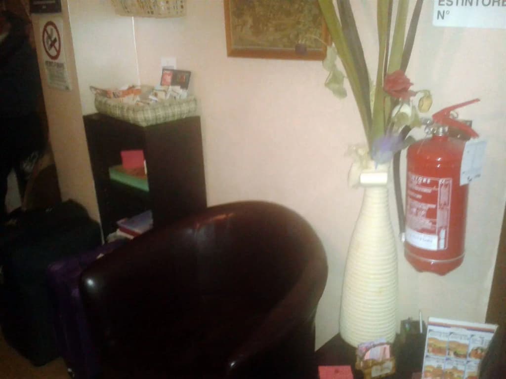 Belhorizon Guest House - photo 8