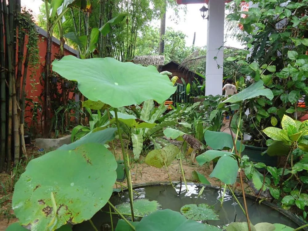 Jasmine Garden Villa - photo 12