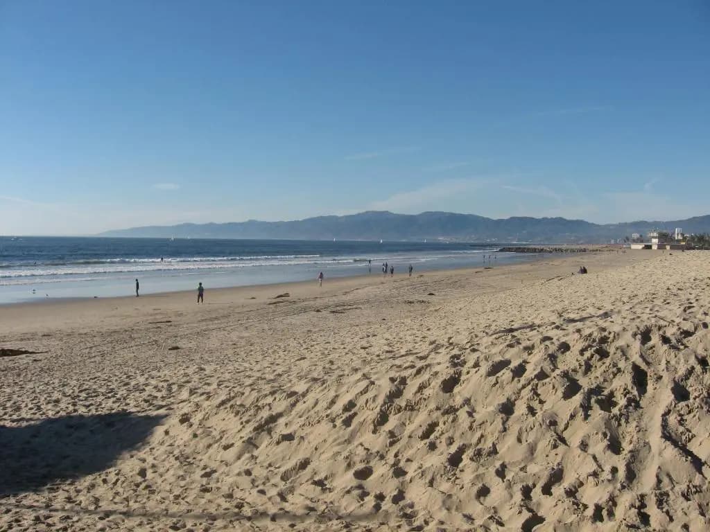 Venice Beach Gem - photo 14