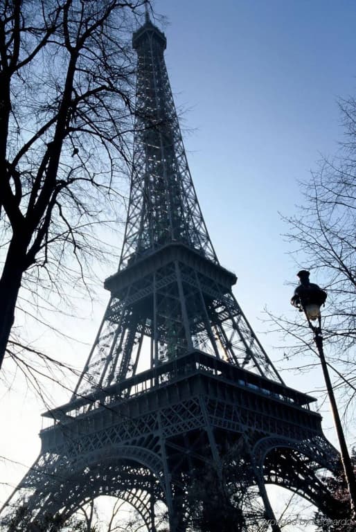 Hôtel Alizé Grenelle Tour Eiffel - photo 17