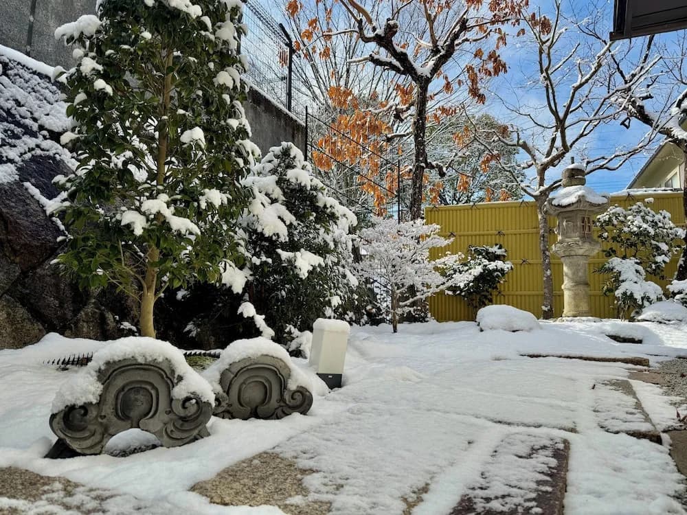 Haku Yase - photo 31