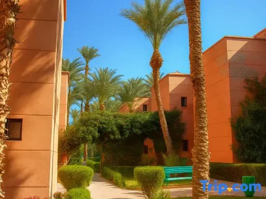 Riad Amirkesh and Pool - photo 1