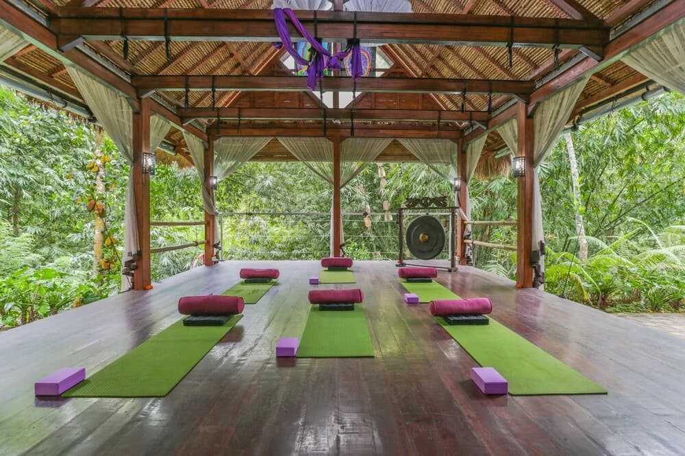 Basundari Retreat Bali - photo 17