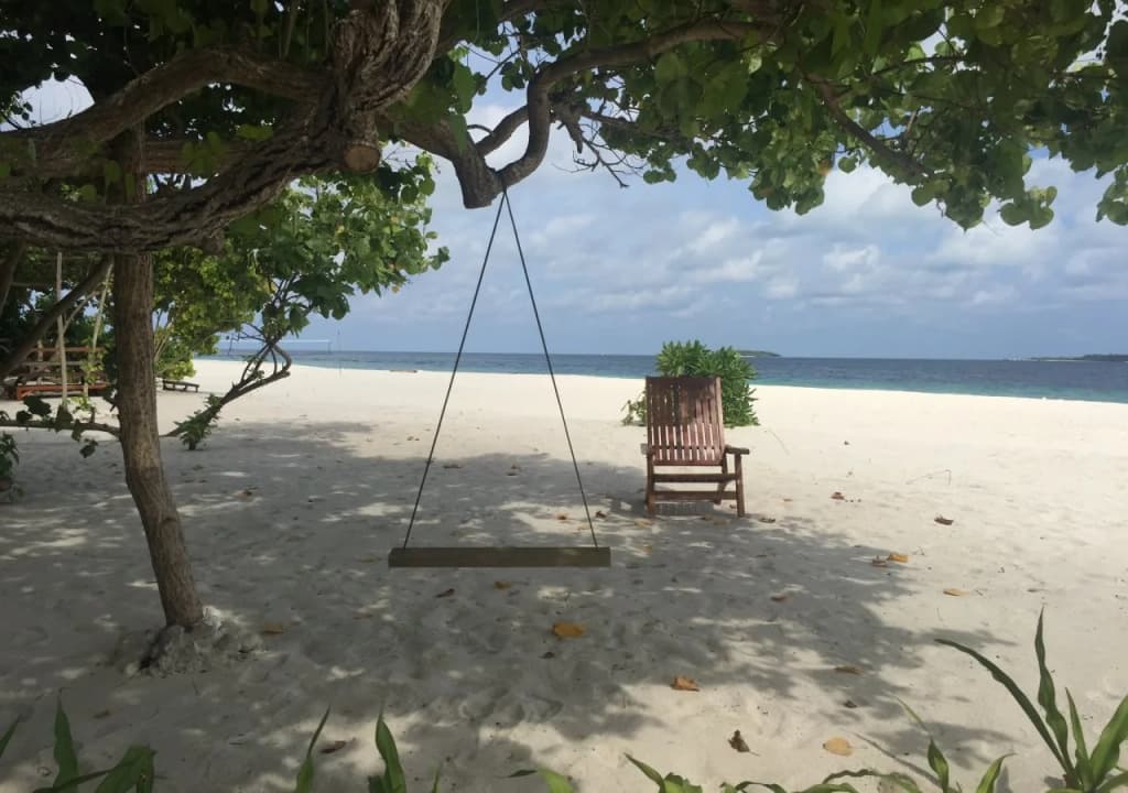 Ithaa Inn Kamadhoo Hotel - photo 8