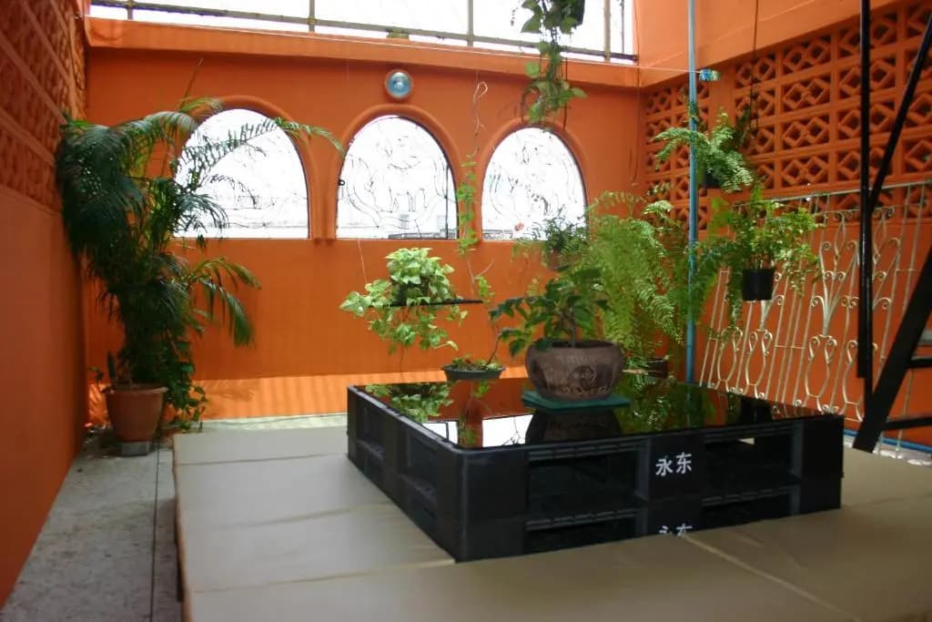 Born Free Hostel - photo 4