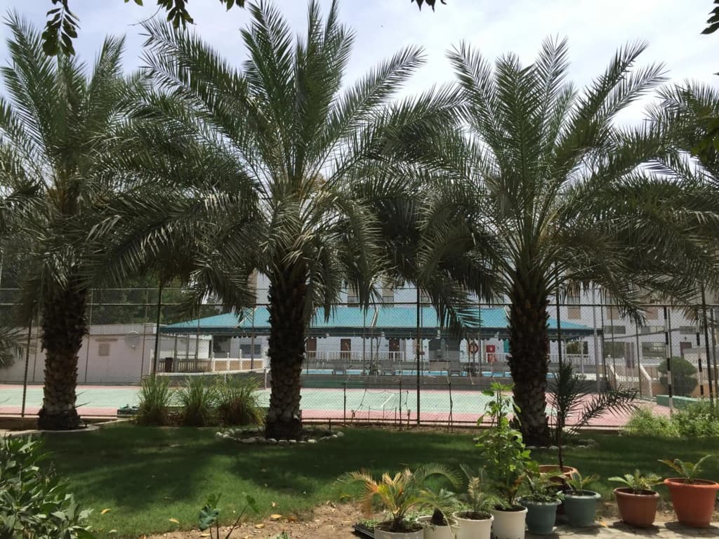 Hotel Al Madinah Holiday - photo 20
