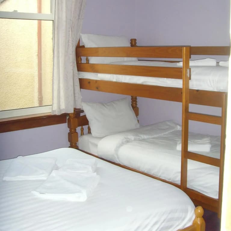Twin Lions Hotel - photo 39
