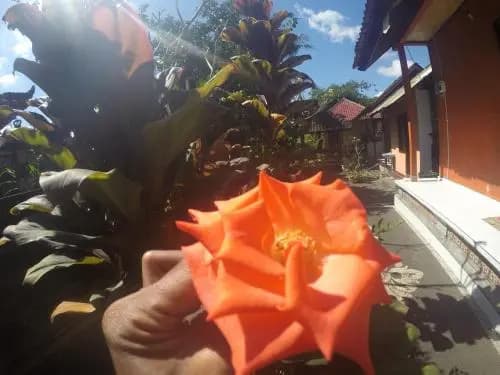 Dipa Home Stay - photo 16