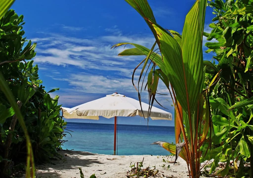 Coral Reef View Inn - photo 5