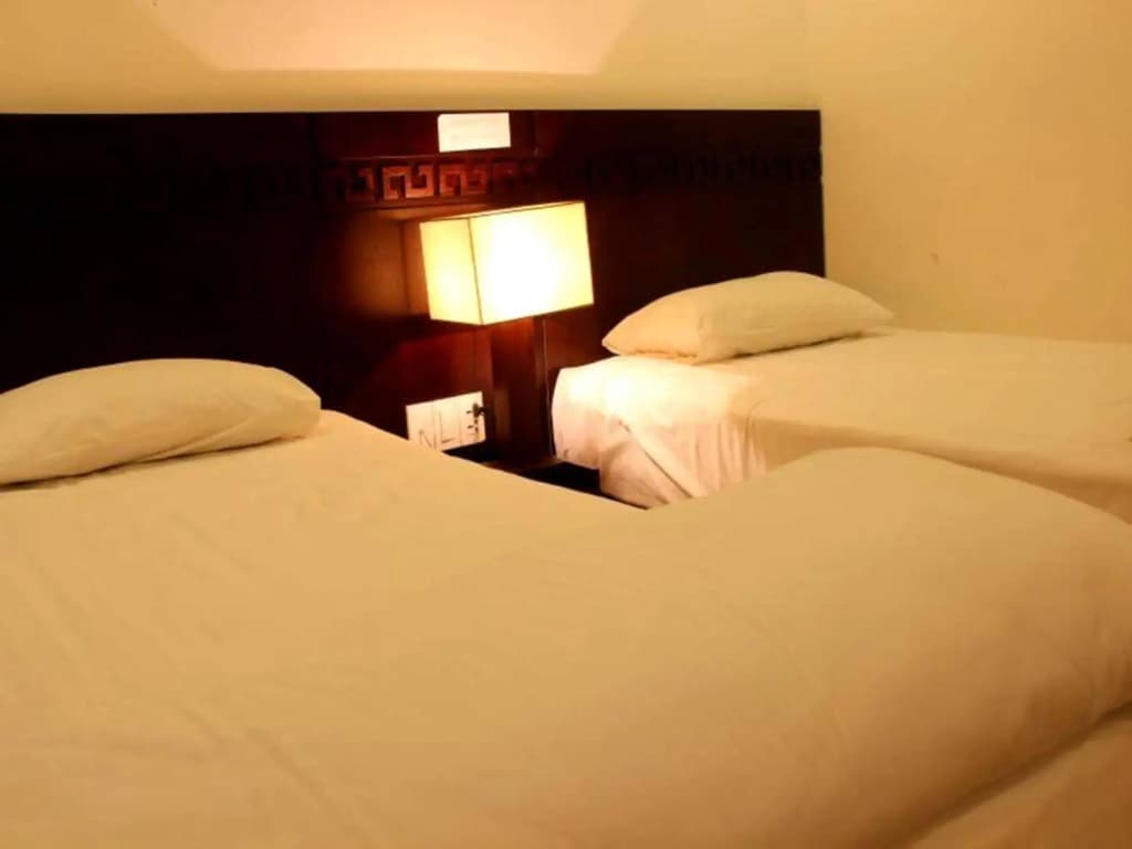 Zenta - photo 3