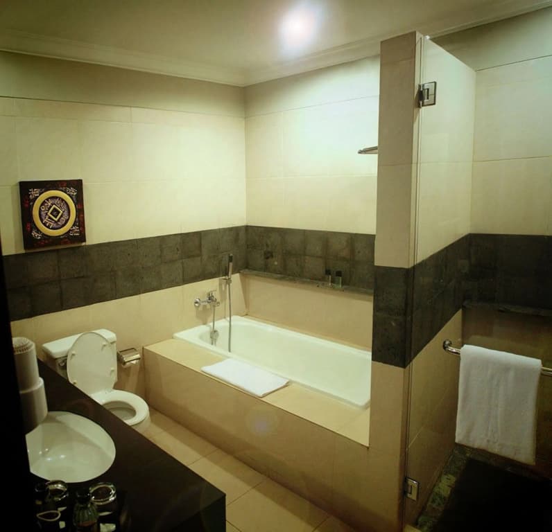 Puri Denpasar Hotel - photo 8