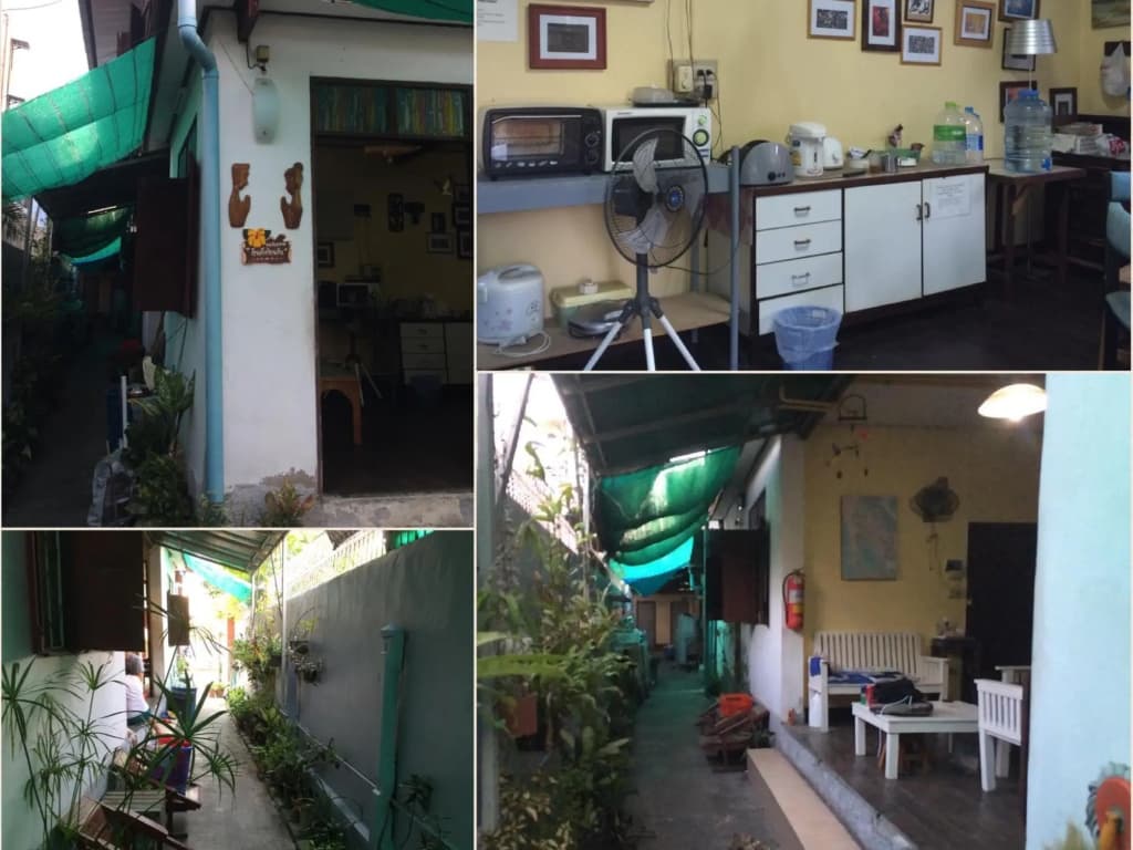 Bluefin Guesthouse - photo 15