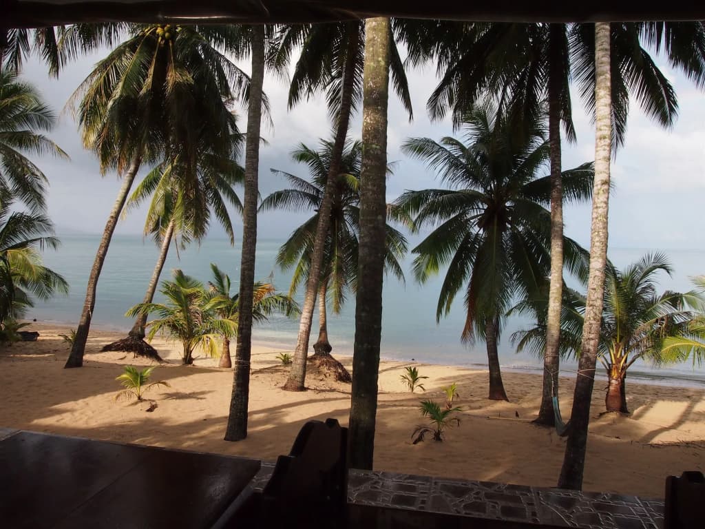 Palm Point Village - photo 12