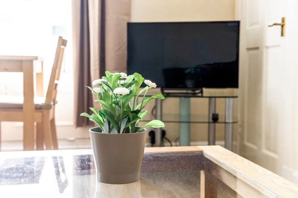 Bright and Airy Apartment in Newington - photo 2