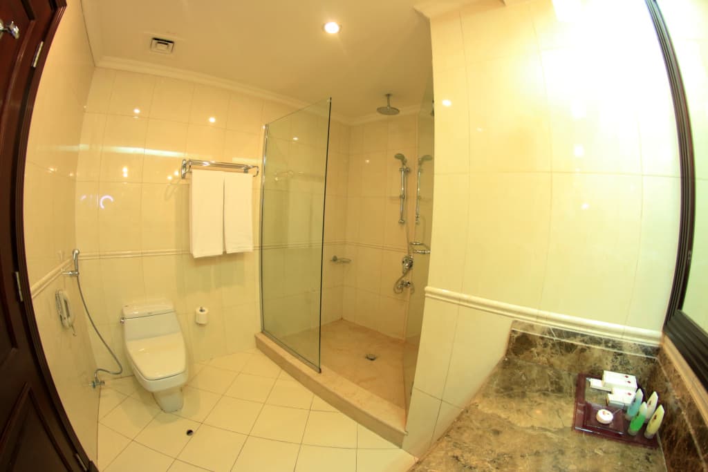Grand Regal Hotel Hotel - photo 37