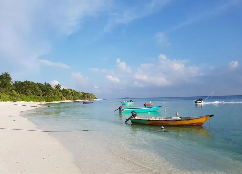 Thoddoo Retreat Grand - photo 13