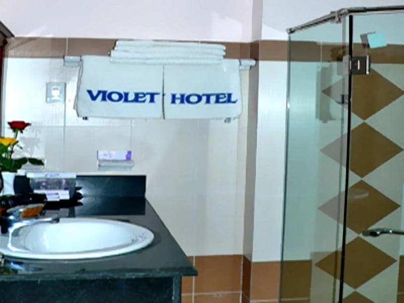 Violet - photo 8
