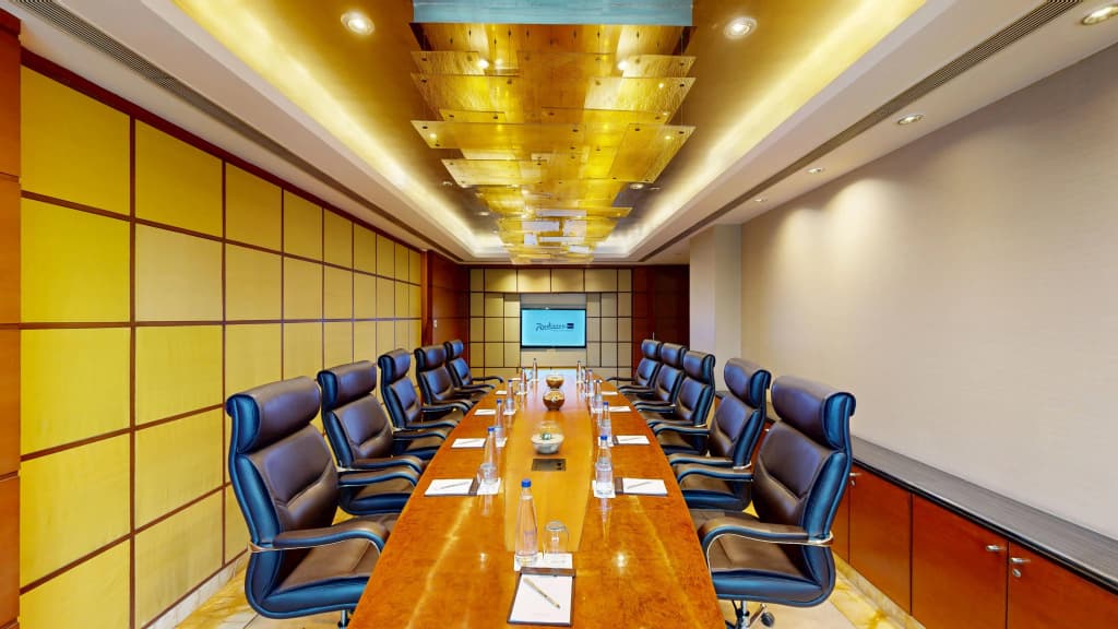 Radisson Blu Plaza Delhi Airport - photo 44