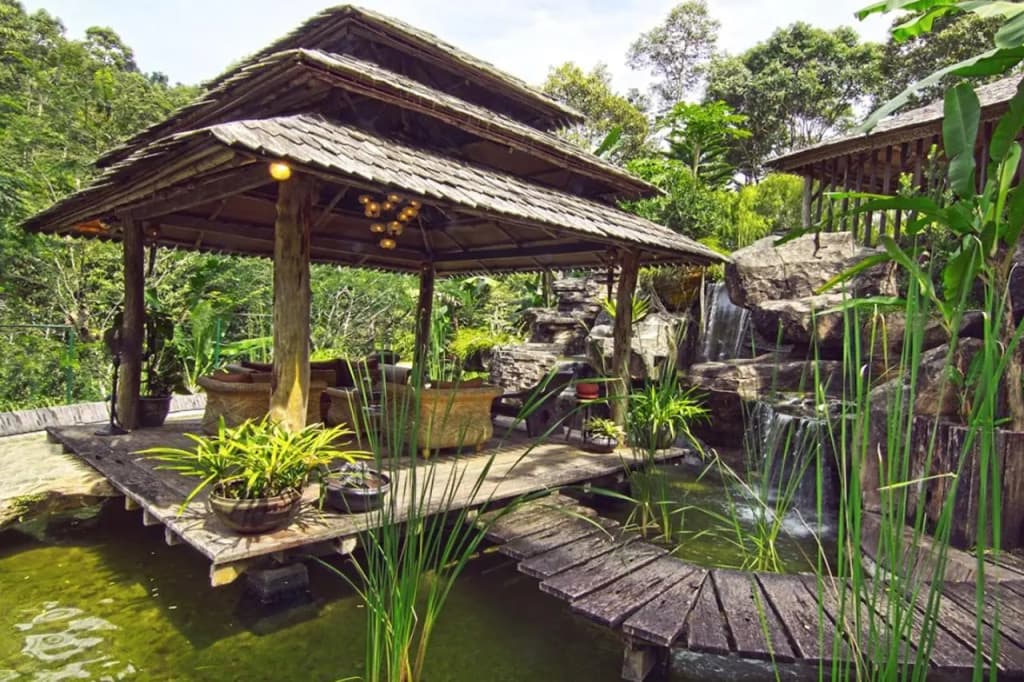 Fig Tree Hills Resort - photo 29