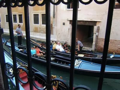 Palazzo Selvatico - photo 16