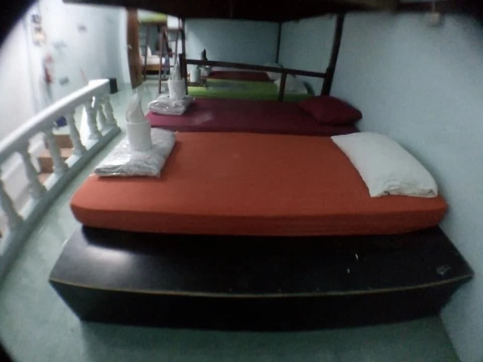 My Travel Homestay Hostel - Adults Only - main photo