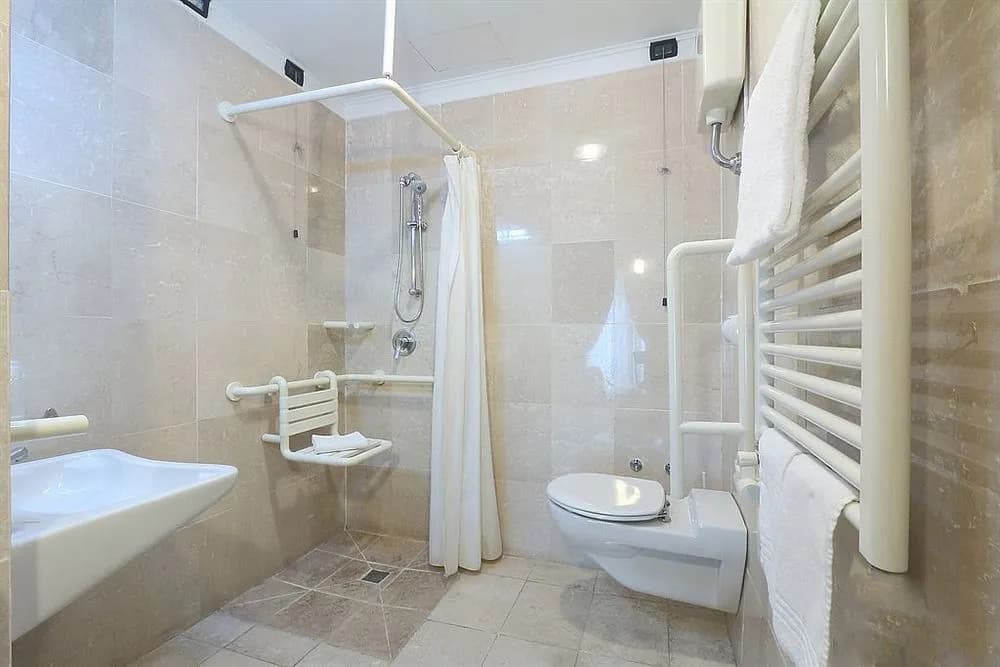 Alamanni - photo 8