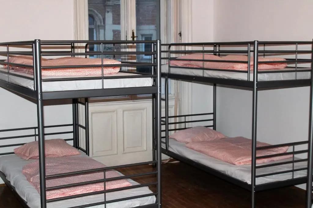 Black Dog Hostel - photo 6