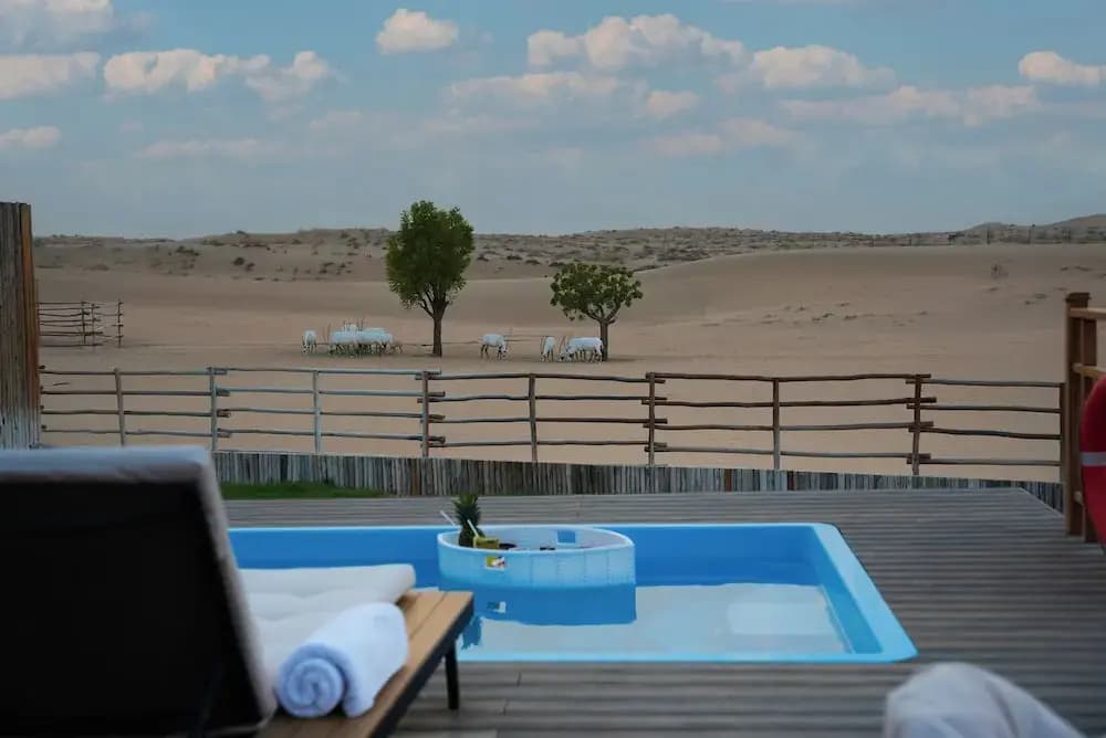 Al Marmoom Dome Luxury Desert Experiential Stay - photo 20