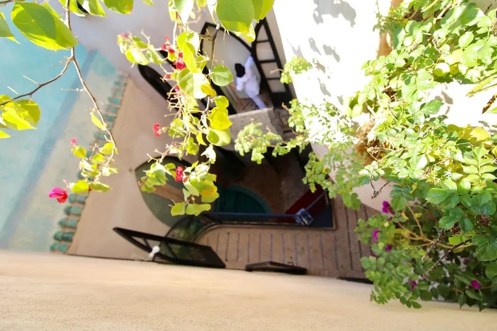 Riad Agnes & Zohra - photo 21