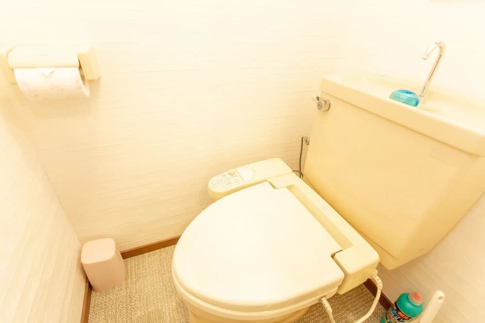 Reina's Guest House - photo 11