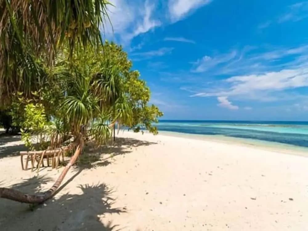 Beach Cottage - photo 18