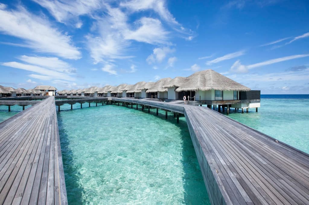 Outrigger Konotta Maldives Resort - photo 18