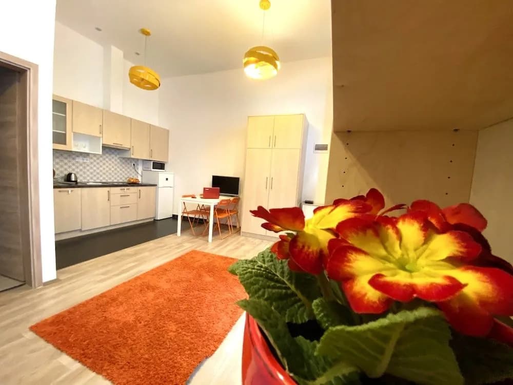 Gracia Apartment House - photo 13