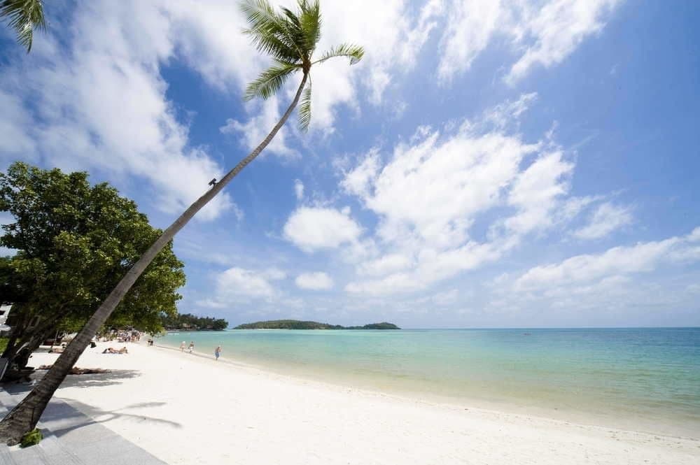 Samui Pool View Apartment - photo 14