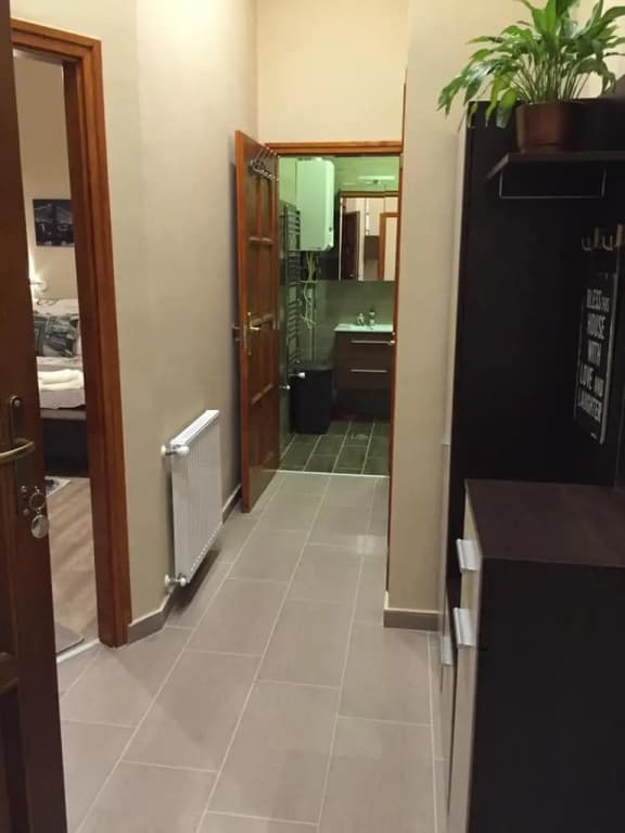Downtown Apartment - photo 9